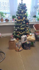 Vánoce a silvestr na O1_13