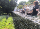 ZOO červen O2_5