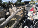 ZOO červen O2_6
