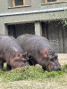 ZOO O3 2025_5