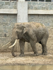 ZOO O3 2025_6