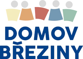 Primary Raster logo